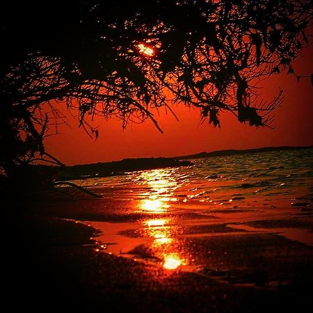 Fulhadhoo Inn エクステリア 写真