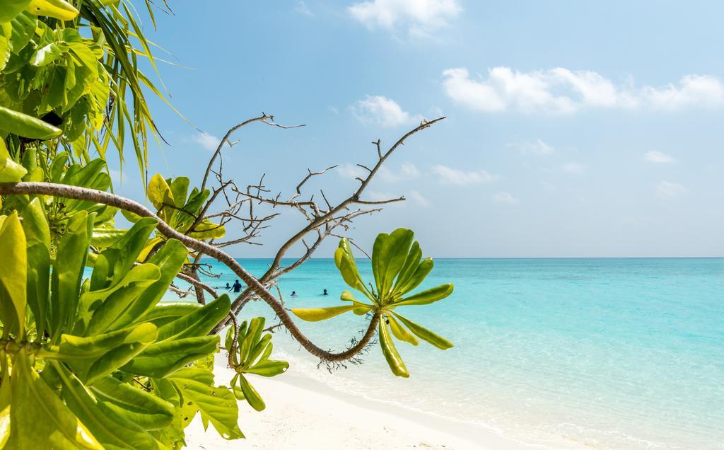 Fulhadhoo Inn エクステリア 写真
